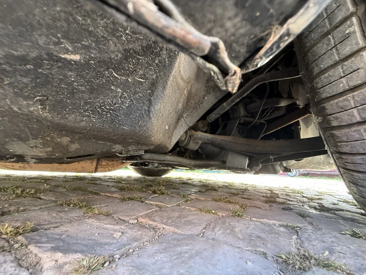 IMG_2633 – grande.jpeg