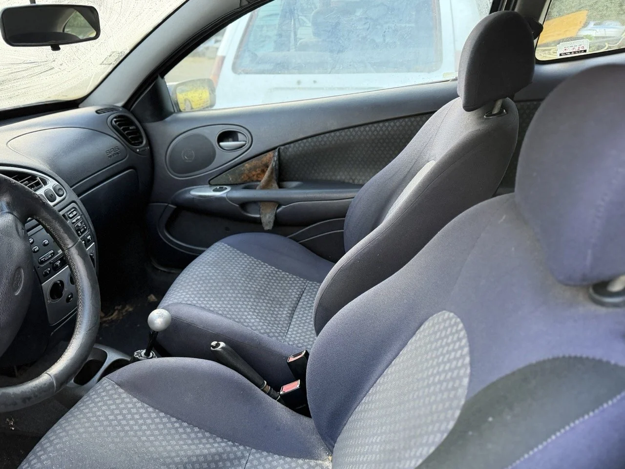 IMG_5296 – grande.jpeg