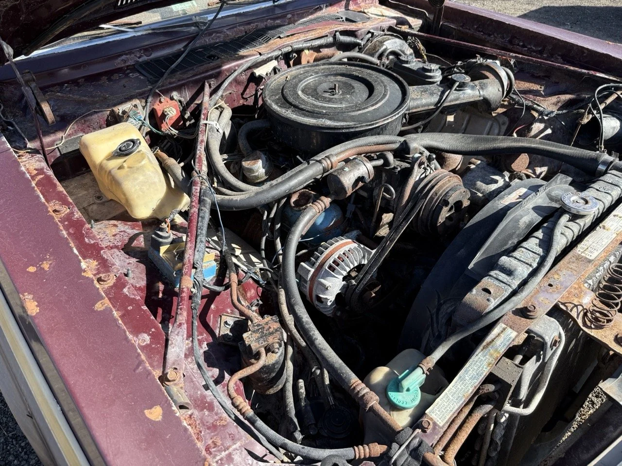 IMG_3034 – grande.jpeg