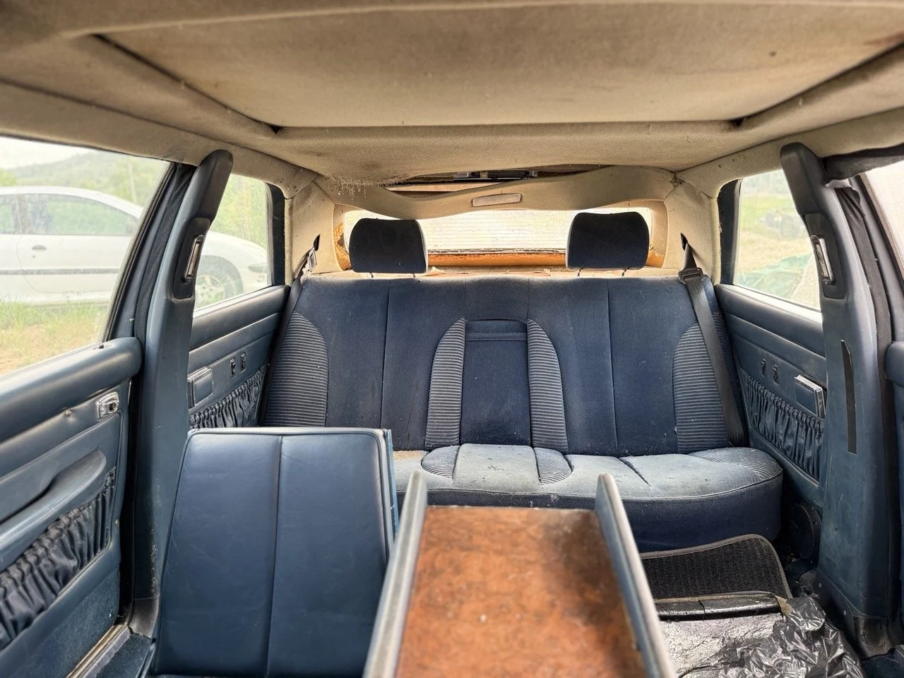 IMG_3359 – grande.jpeg