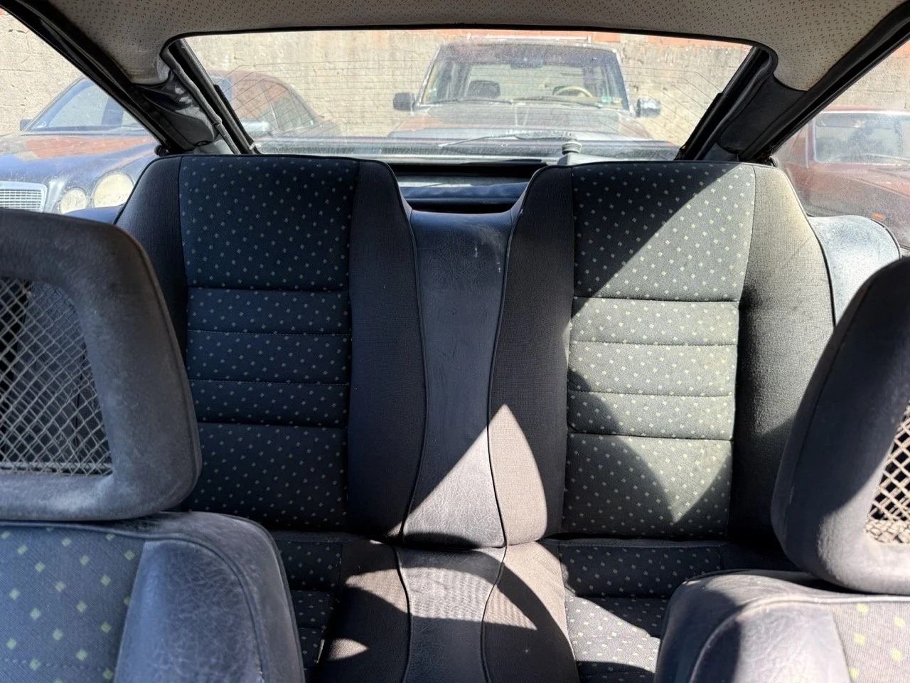 IMG_2900 – grande.jpeg