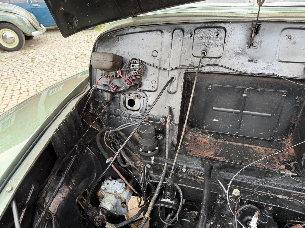 IMG_9841 – grande.jpeg