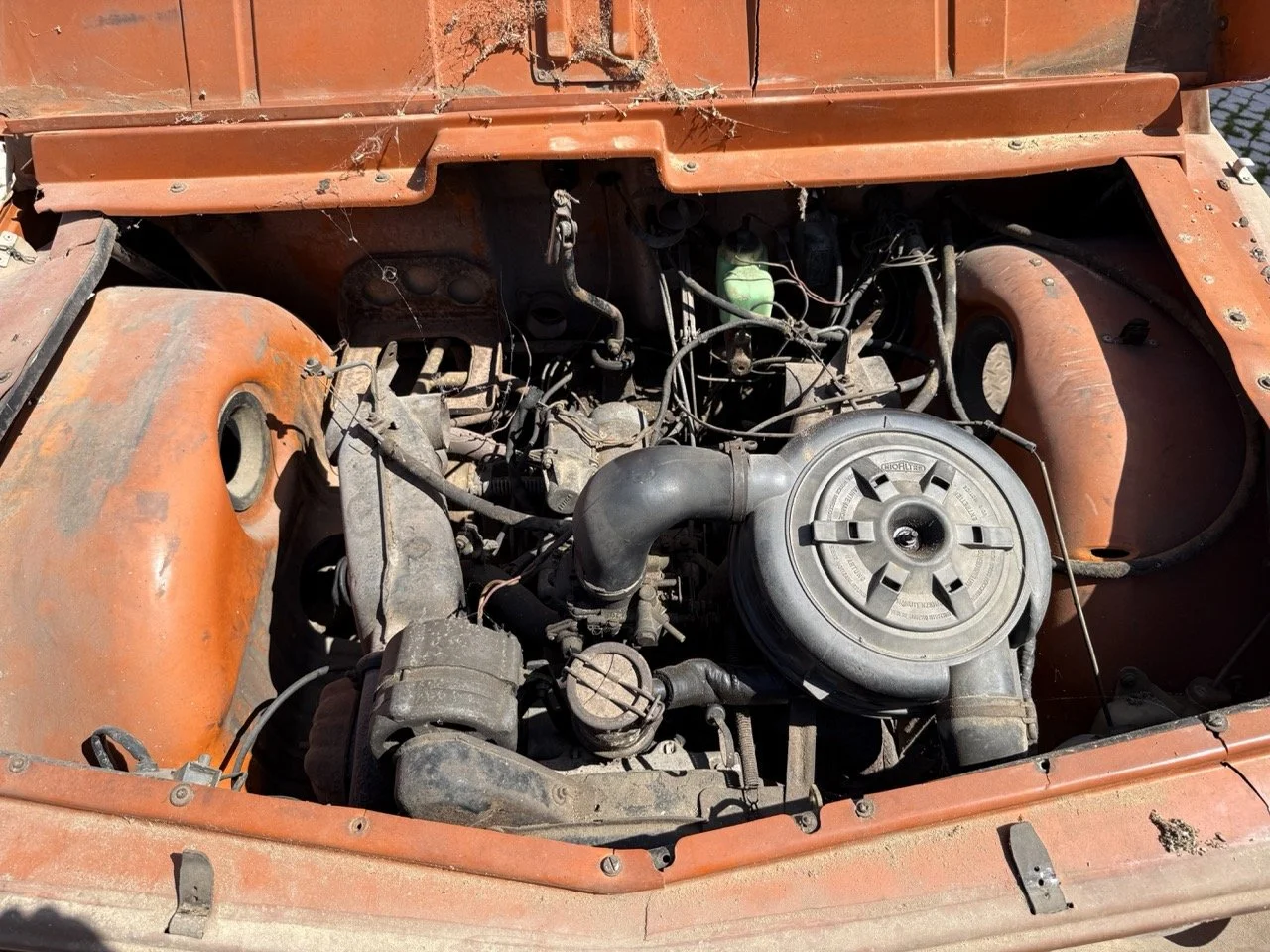 IMG_9070 – grande.jpeg