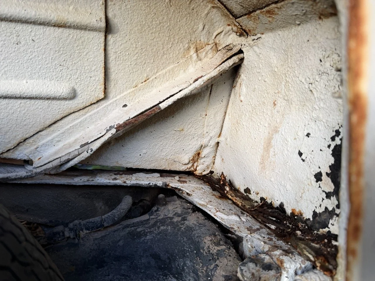 IMG_0912 – grande.jpeg