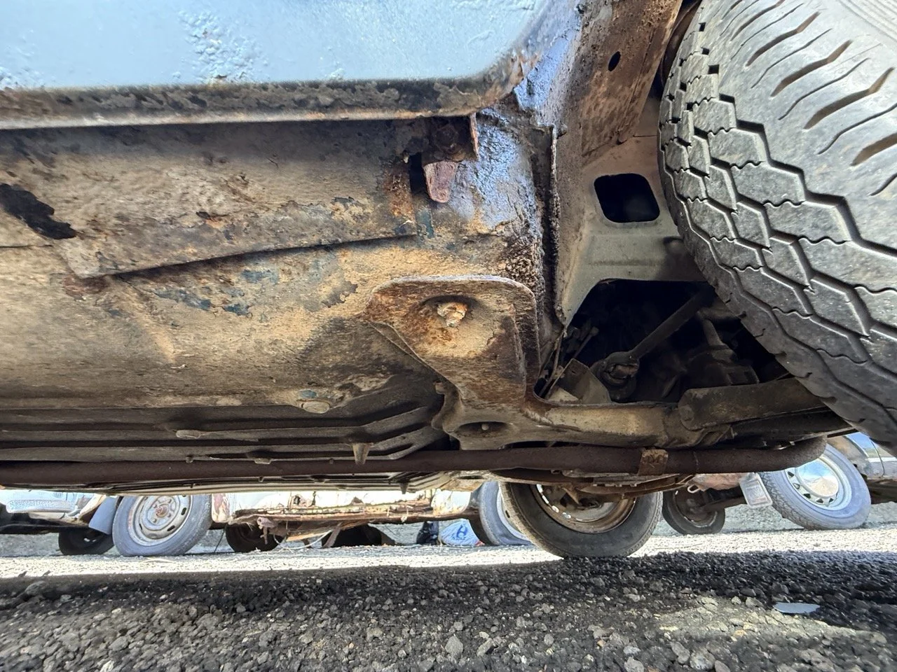 IMG_0814 – grande.jpeg