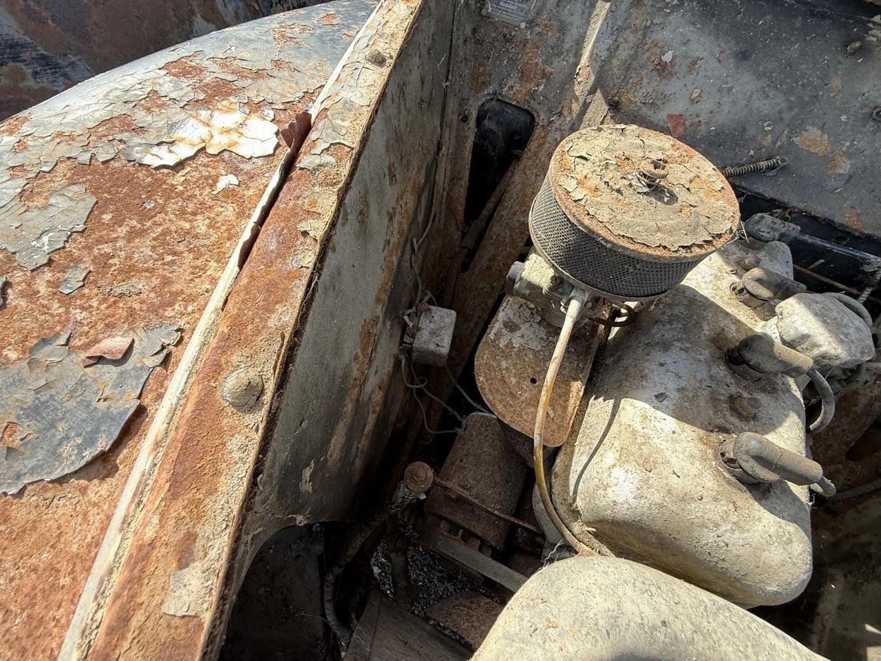 IMG_0417 – grande.jpeg