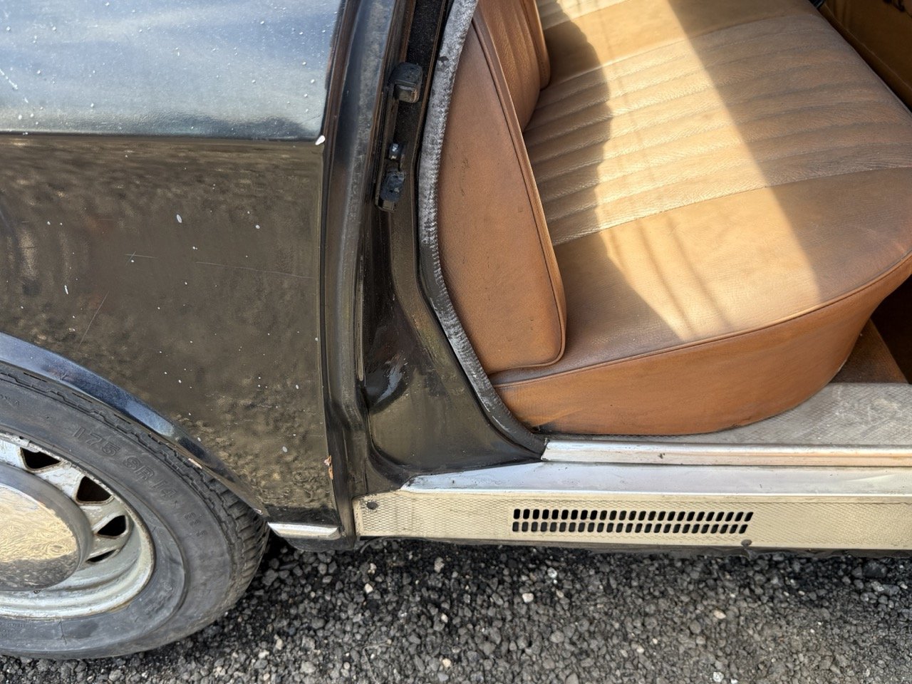 IMG_0599 – grande.jpeg