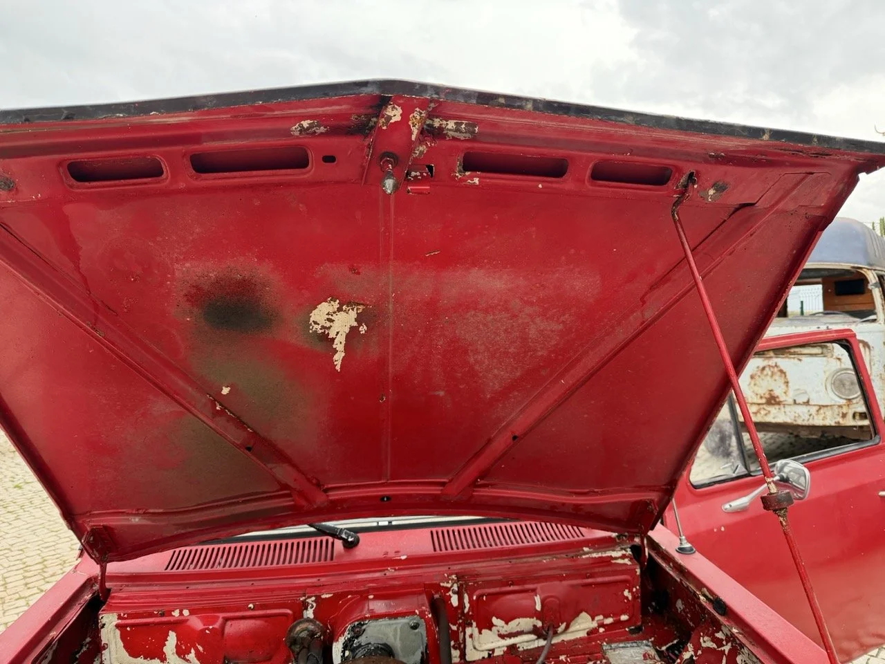 IMG_9686 – grande.jpeg