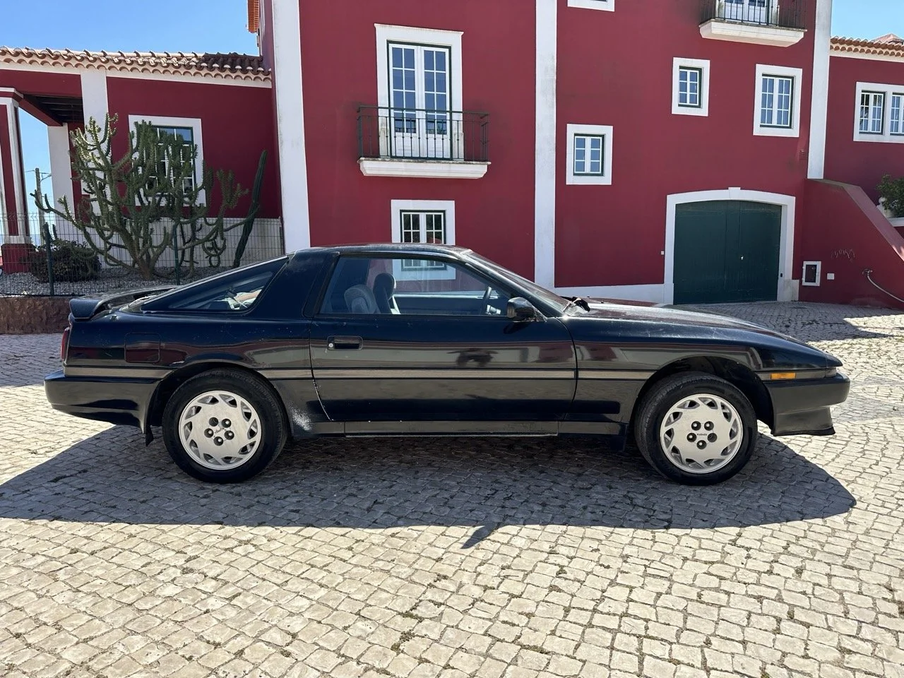 IMG_3039 – grande.jpeg