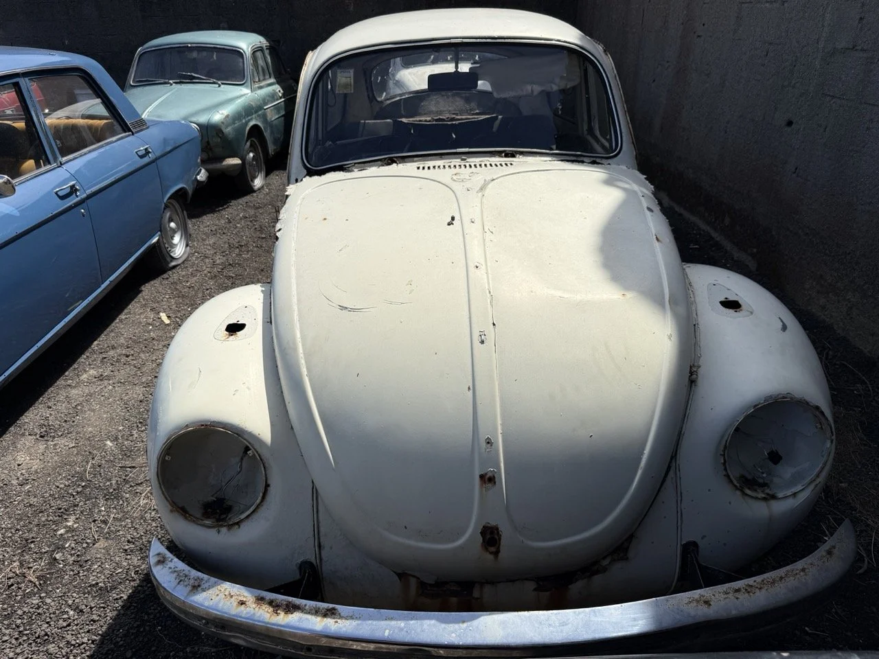 IMG_0632 – grande.jpeg