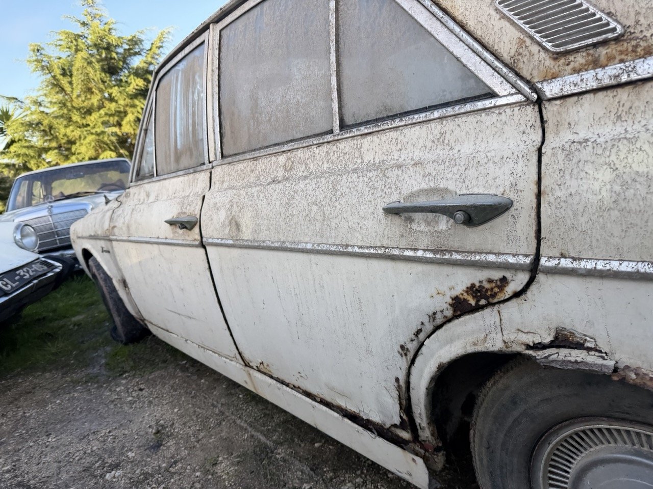 IMG_4072 – grande.jpeg