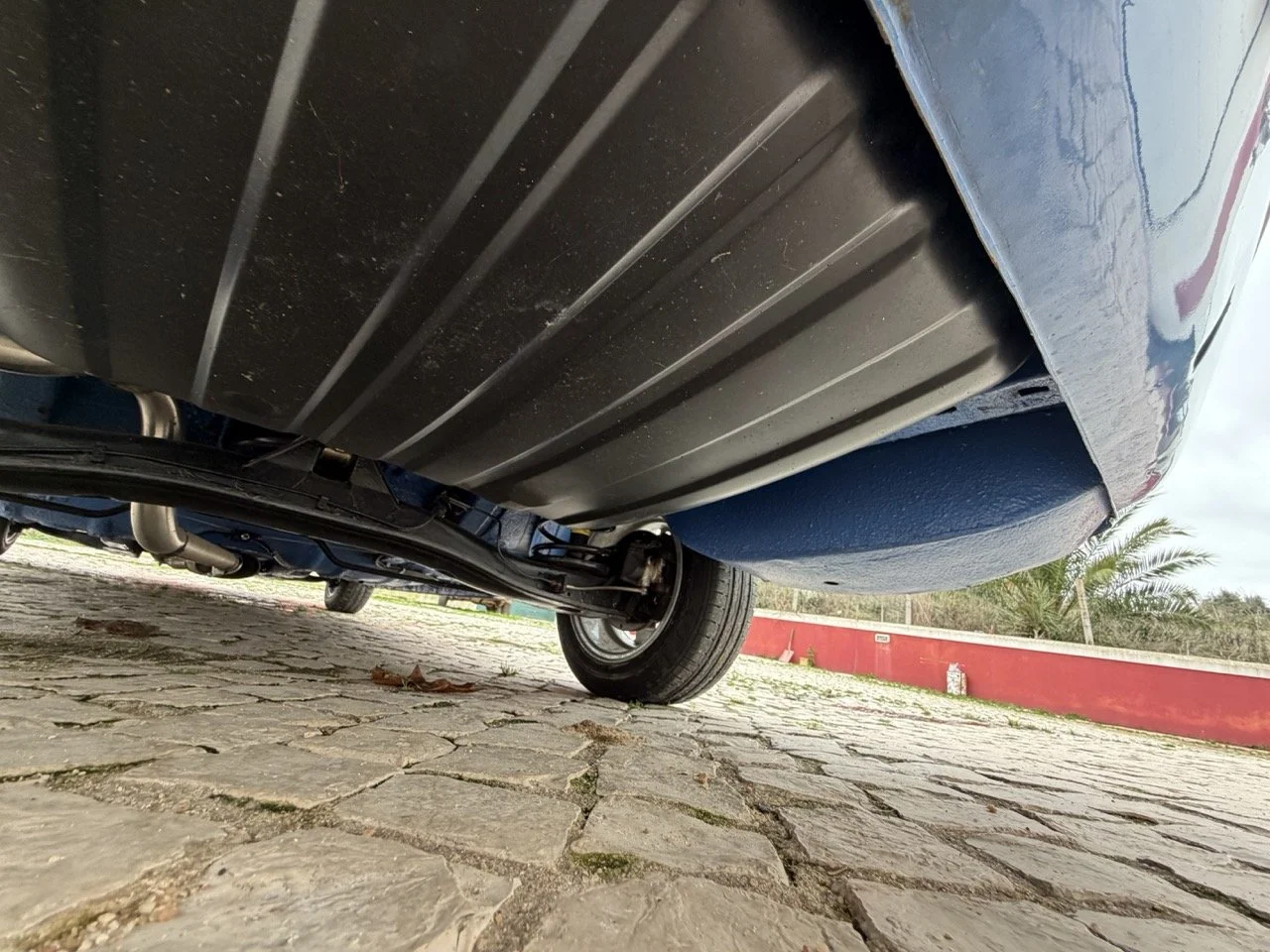 IMG_6122 – grande.jpeg