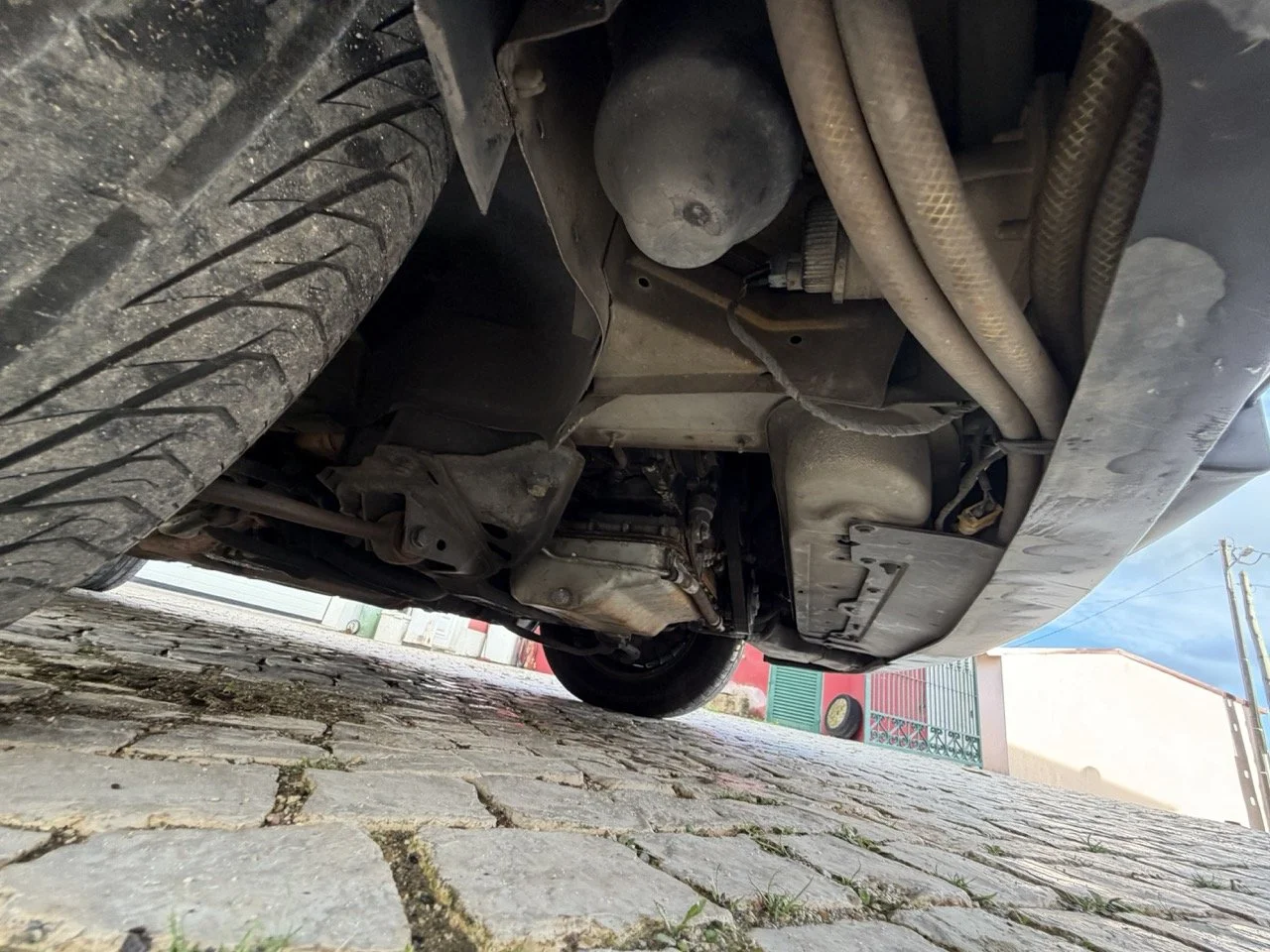 IMG_7022 2 – grande.jpeg