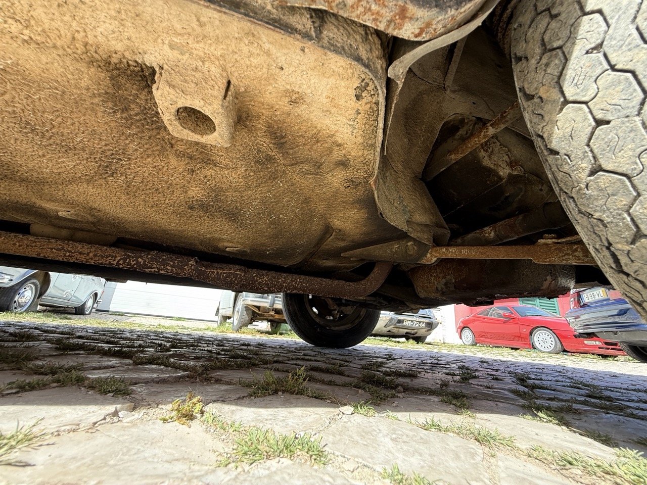 IMG_2368 – grande.jpeg