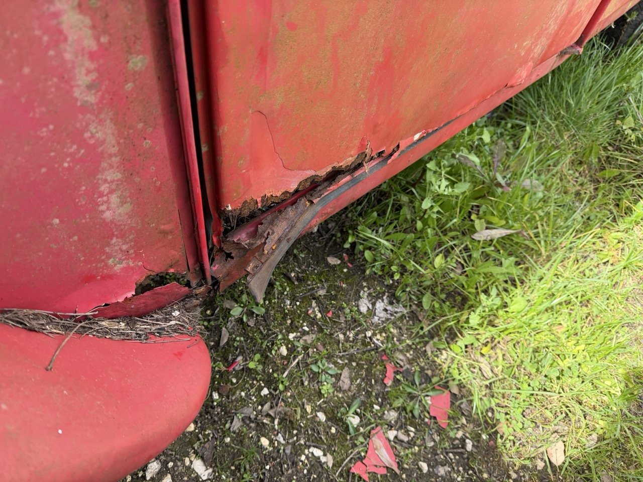 IMG_3876 – grande.jpeg