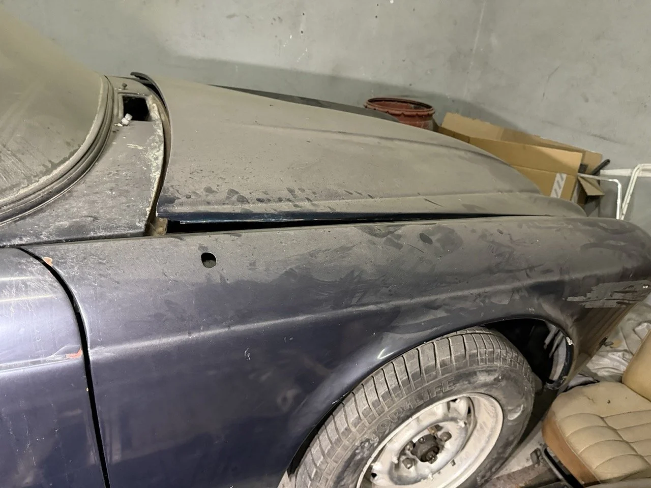 IMG_4242 – grande.jpeg