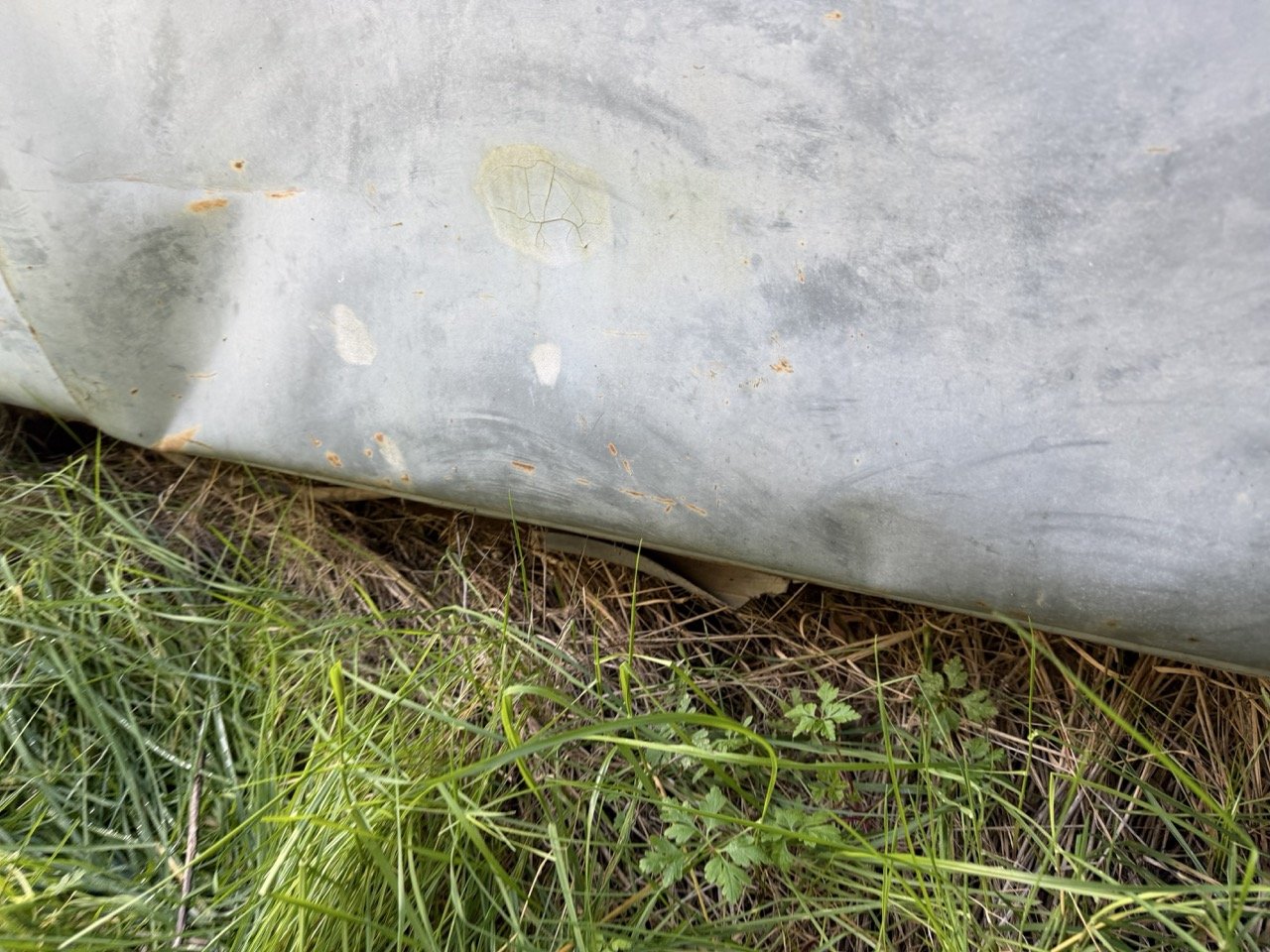 IMG_8562 – grande.jpeg