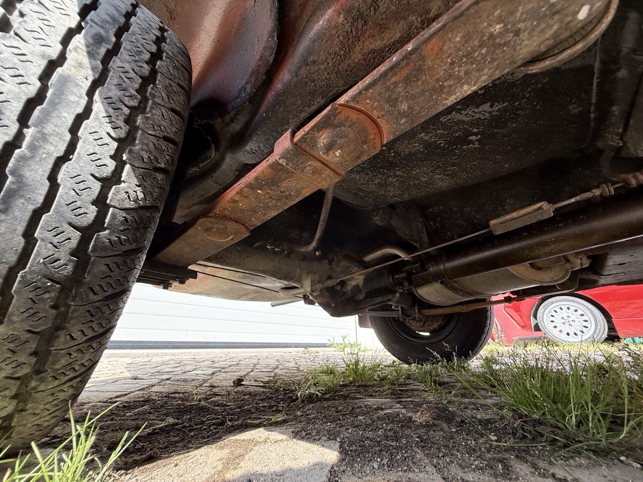 IMG_3666 – grande.jpeg