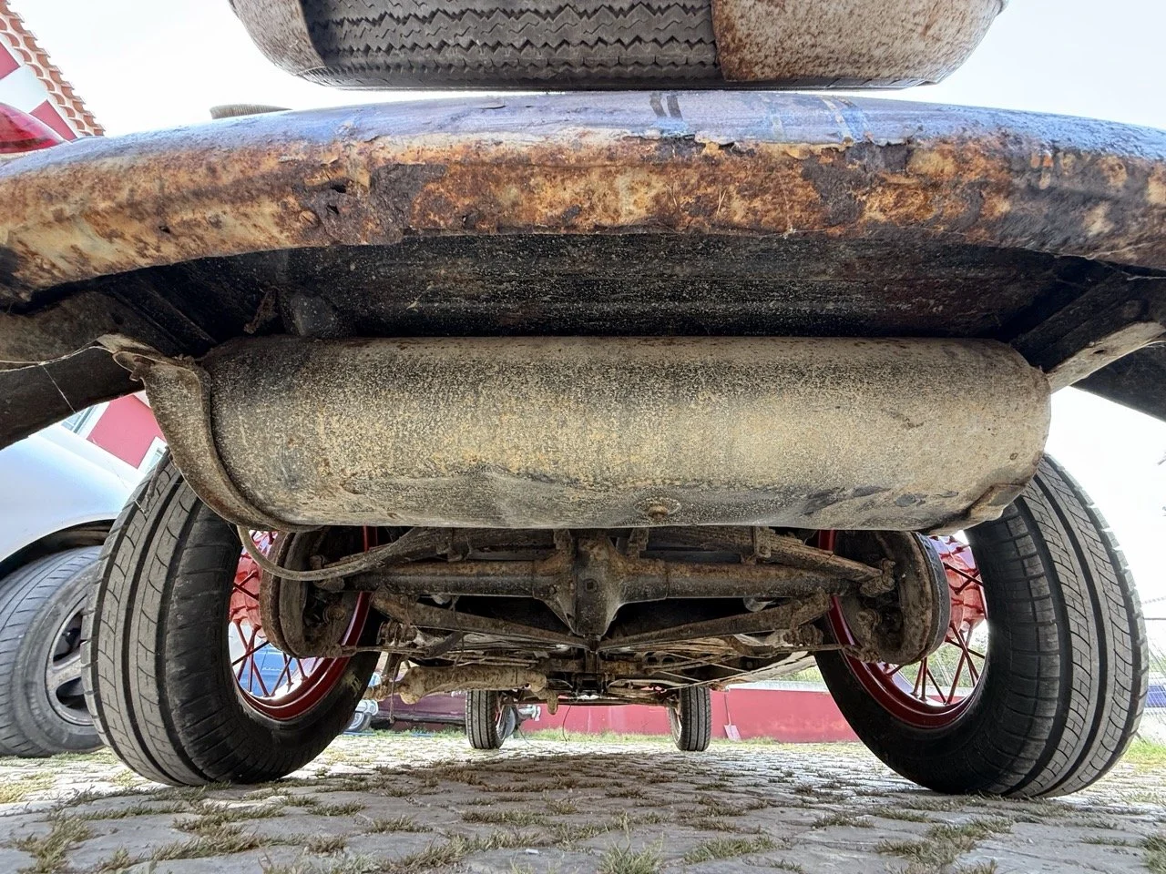 IMG_3748 – grande.jpeg