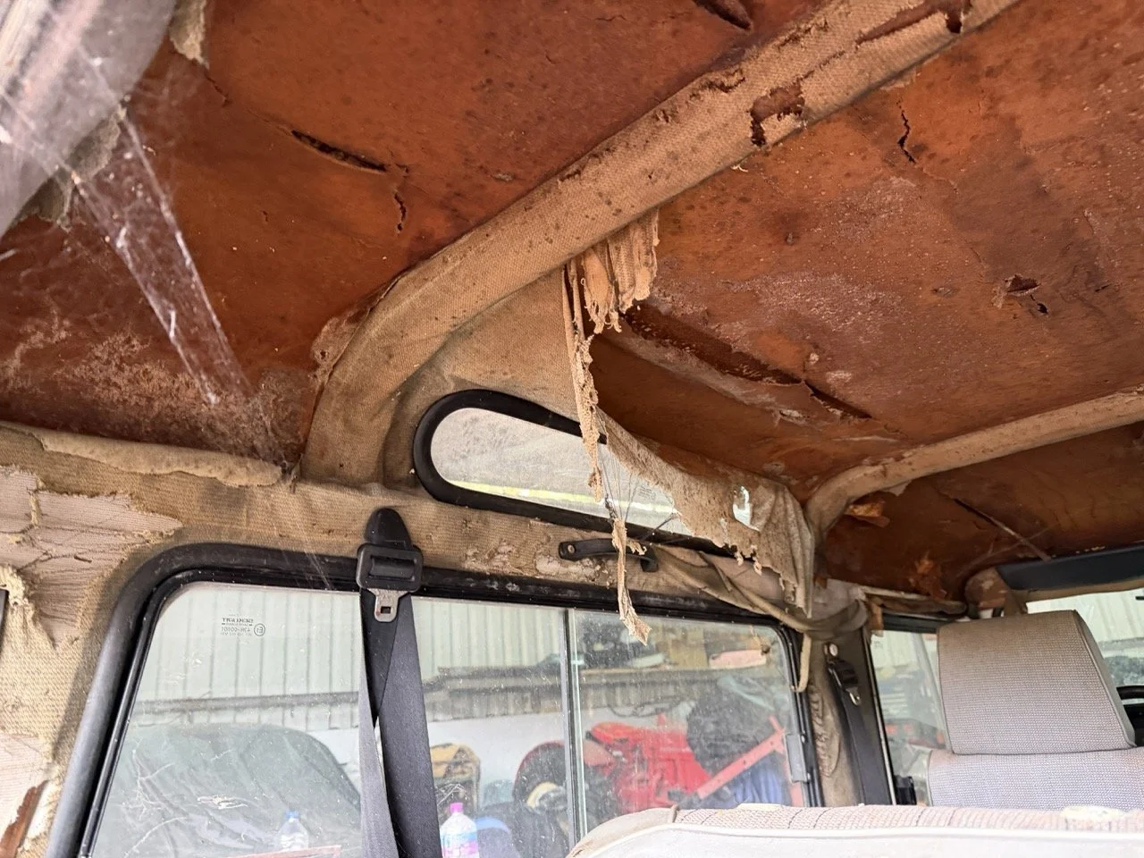 IMG_5191 – grande.jpeg