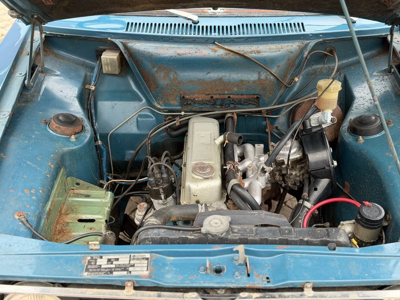 IMG_6295 – grande.jpeg