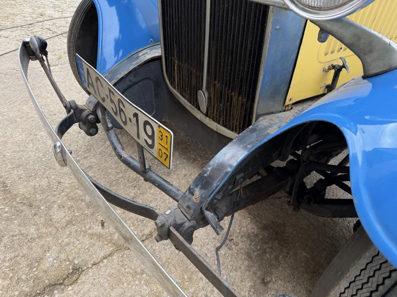 IMG_1579 – grande.jpeg