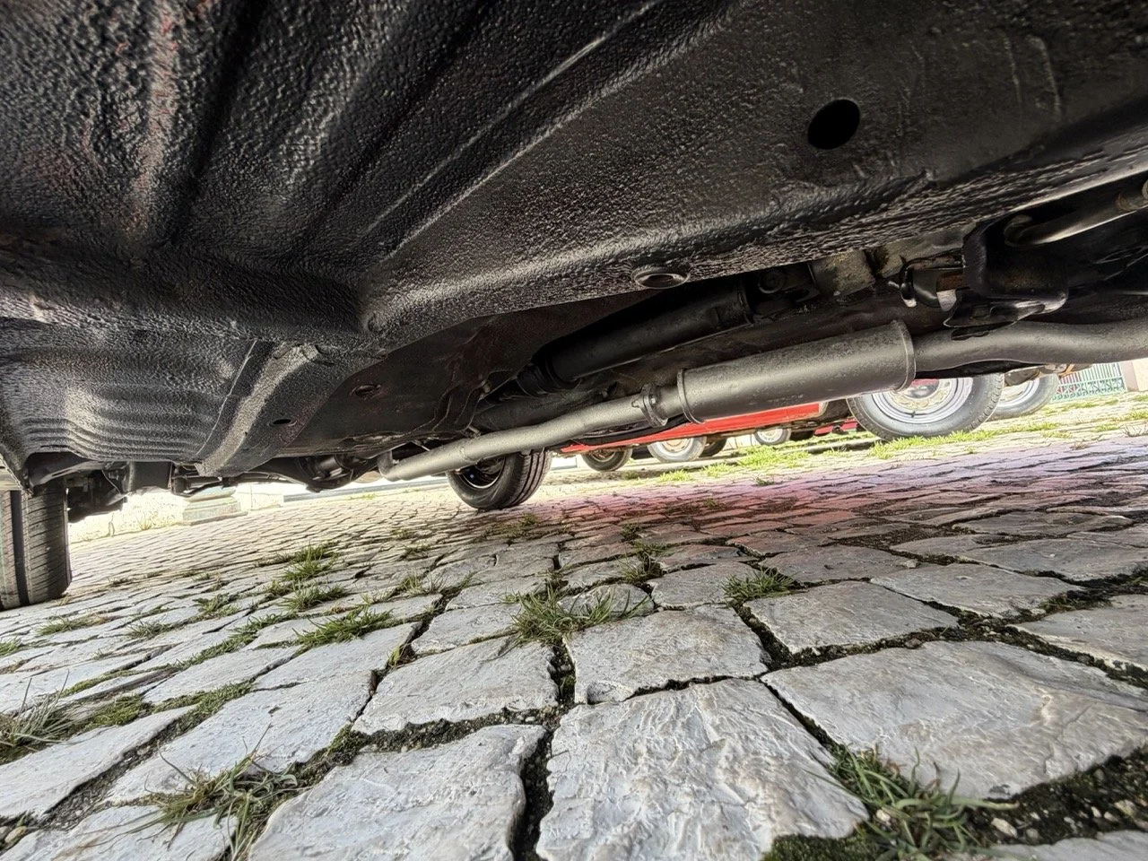 IMG_2452 – grande.jpeg