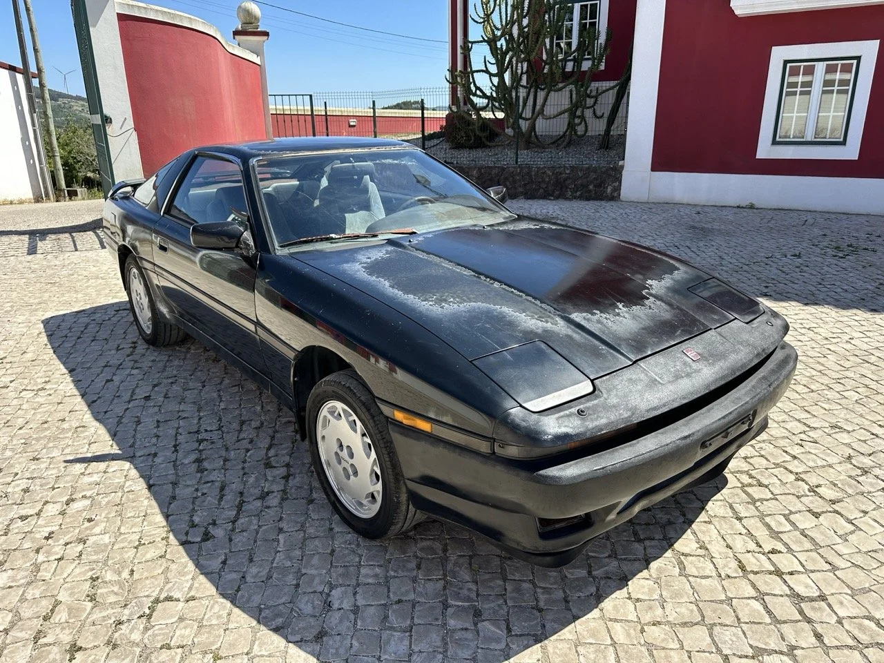 IMG_3017 – grande.jpeg