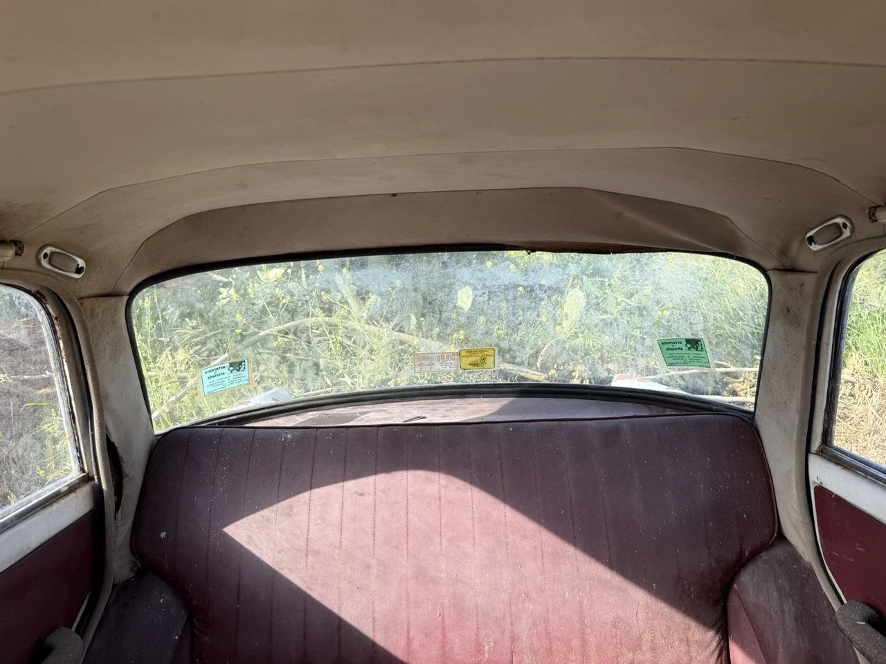 IMG_0488 – grande.jpeg