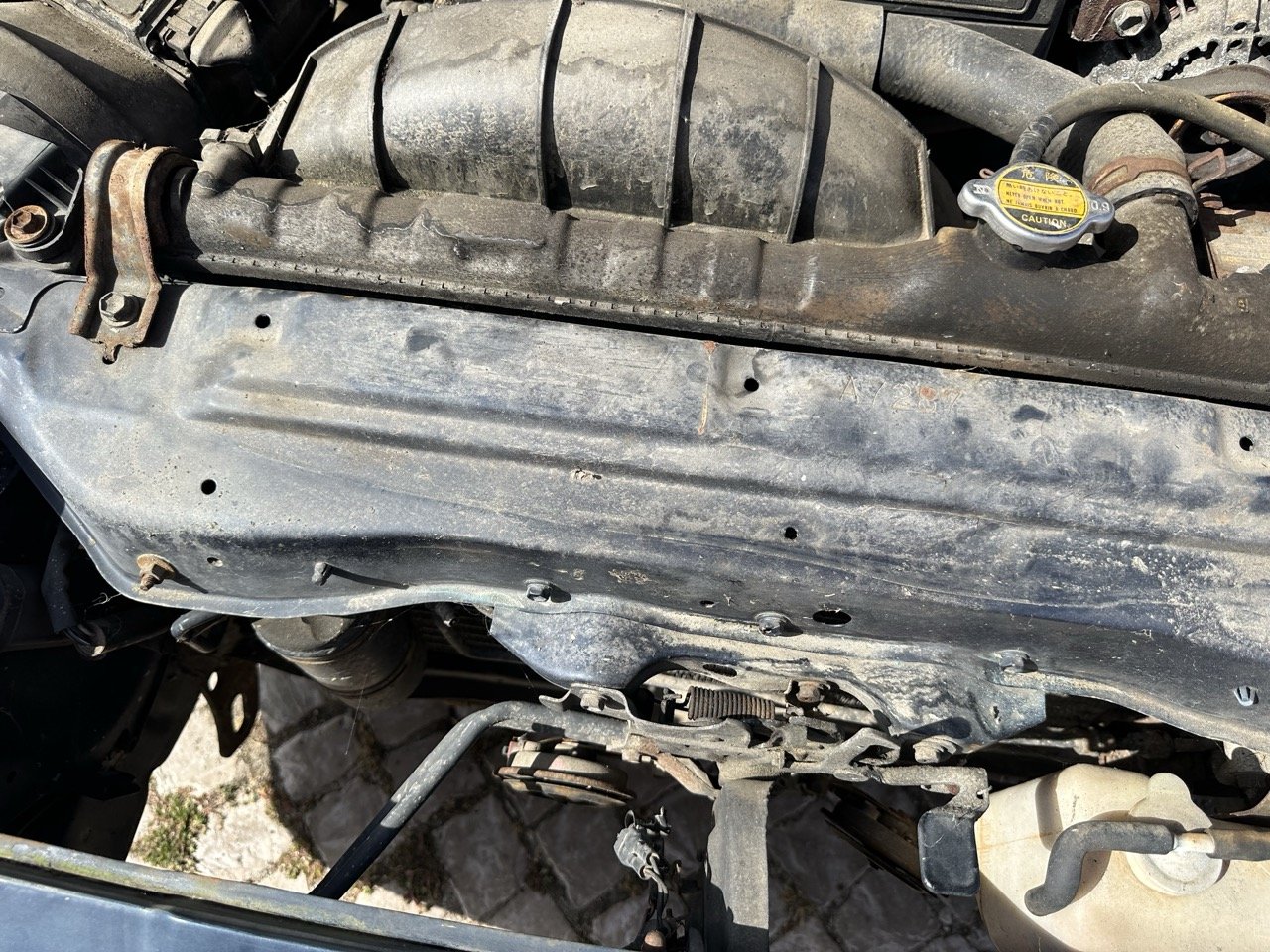 IMG_7209 – grande.jpeg