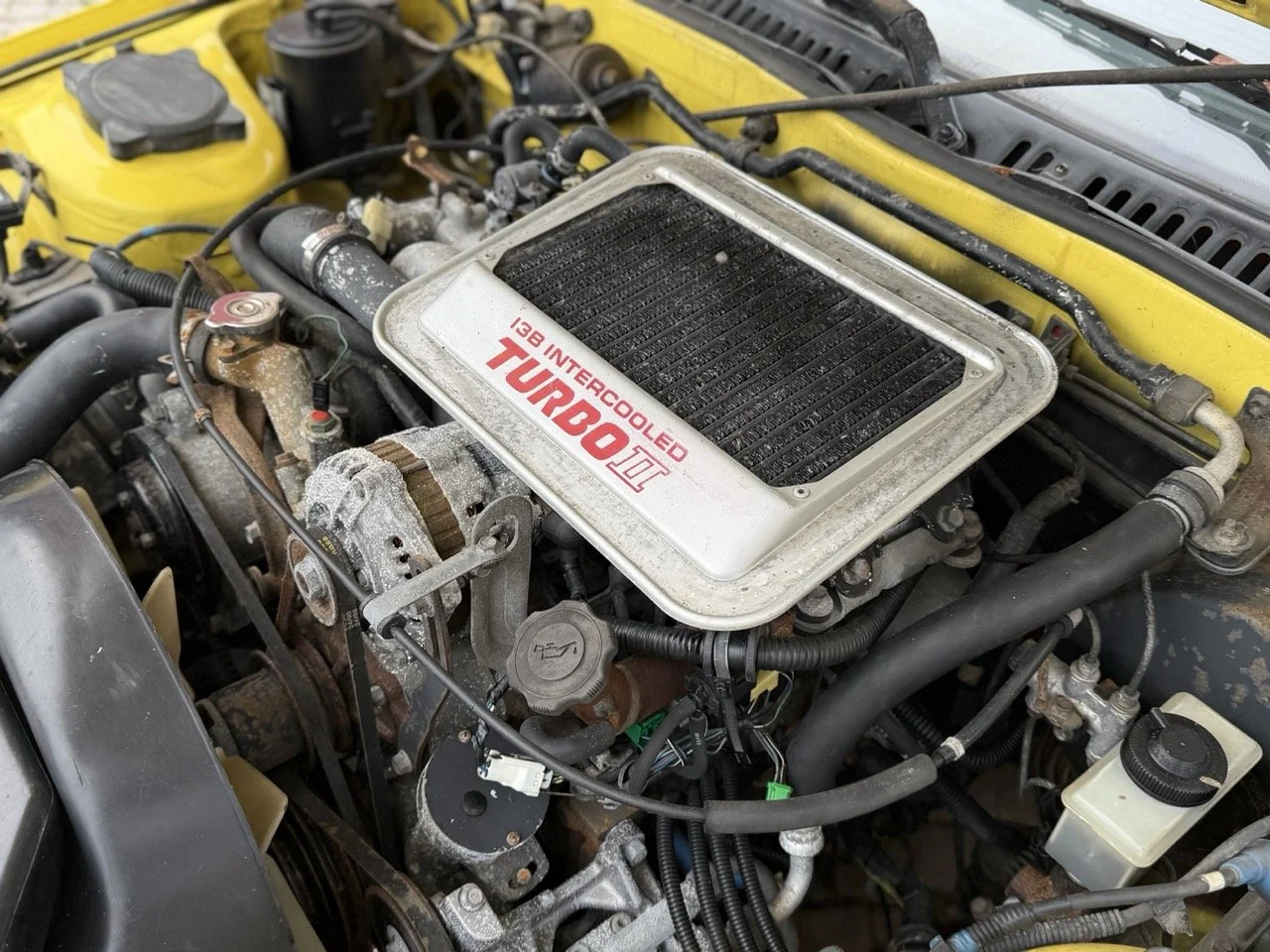 IMG_9748 – grande.jpeg