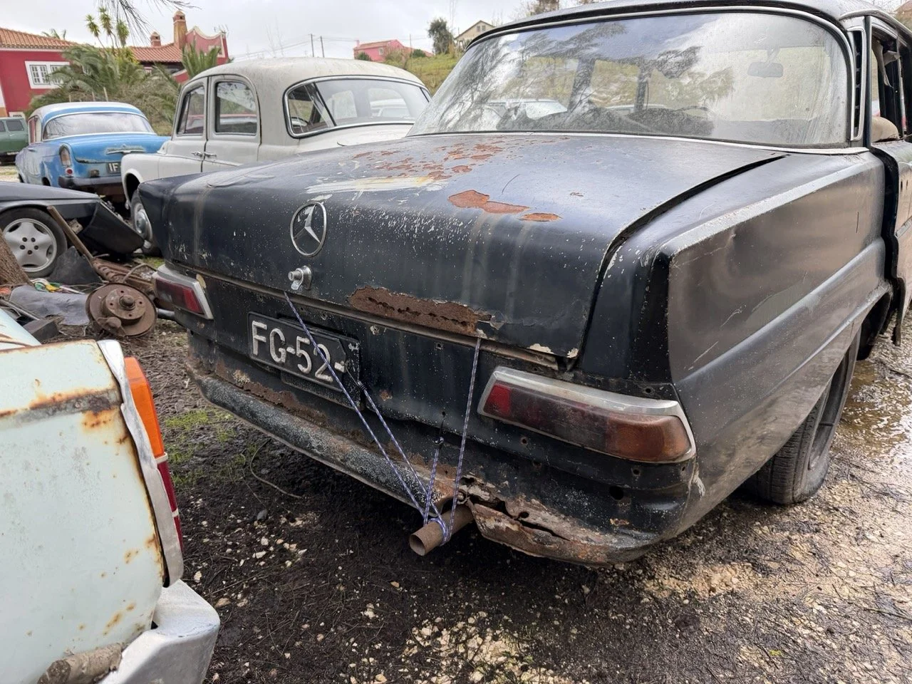 IMG_1928 – grande.jpeg