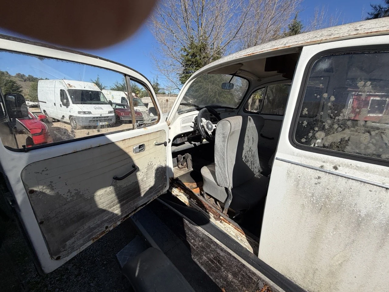 IMG_1862 – grande.jpeg