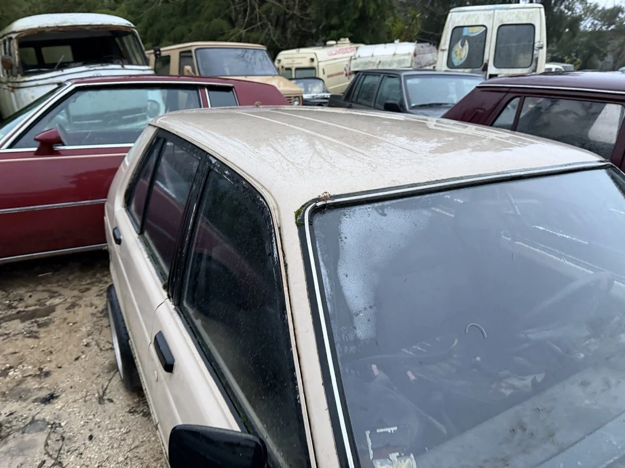 IMG_0261 – grande.jpeg