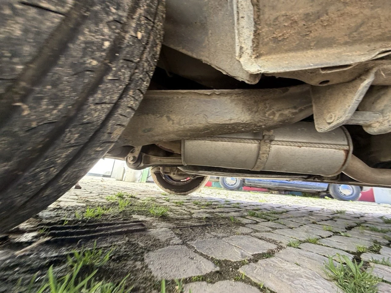 IMG_2043 – grande.jpeg