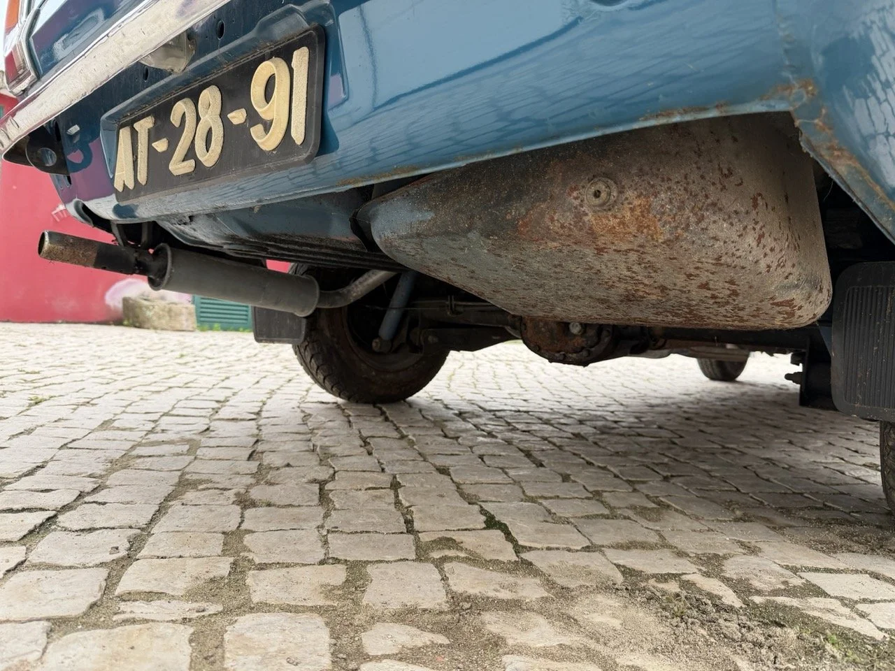 IMG_6330 – grande.jpeg