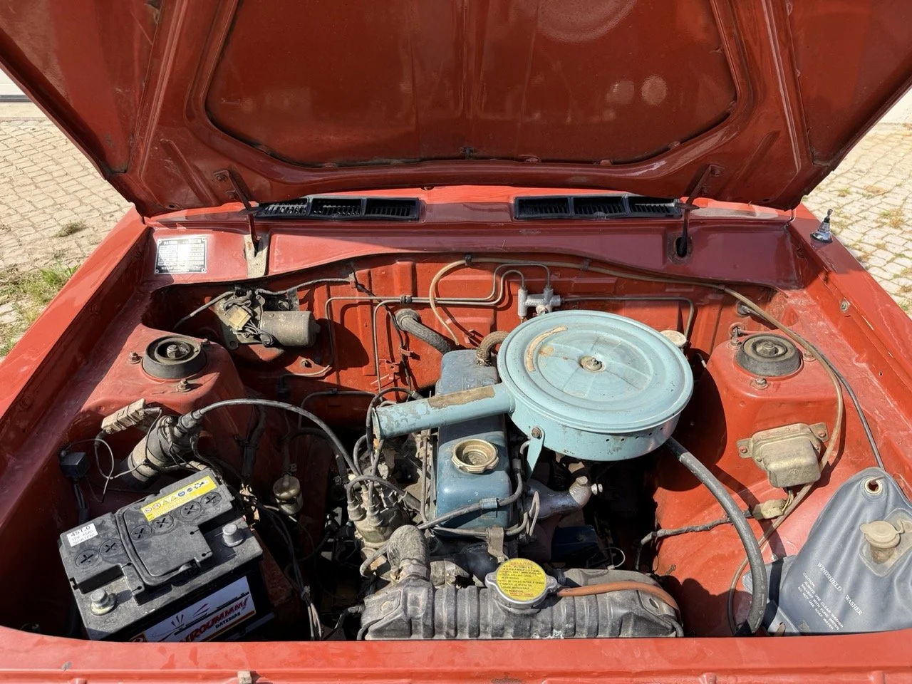 IMG_3611 – grande.jpeg