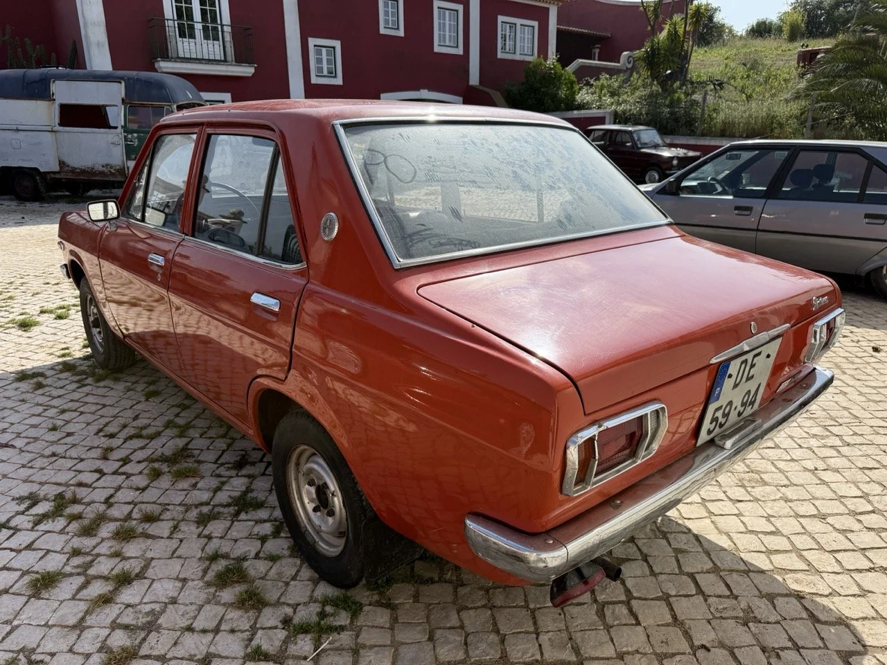 IMG_3593 – grande.jpeg