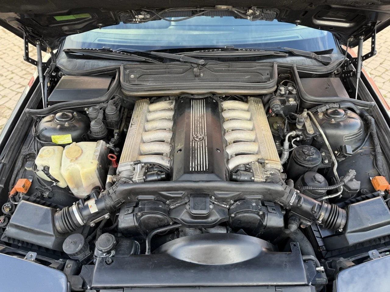 IMG_6851 – grande.jpeg