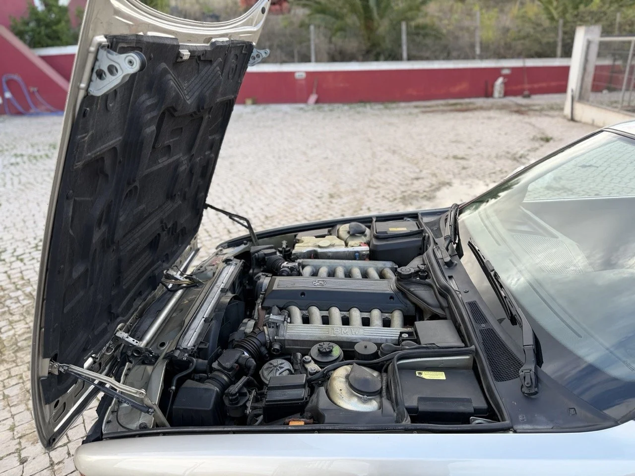 IMG_6965 2 – grande.jpeg