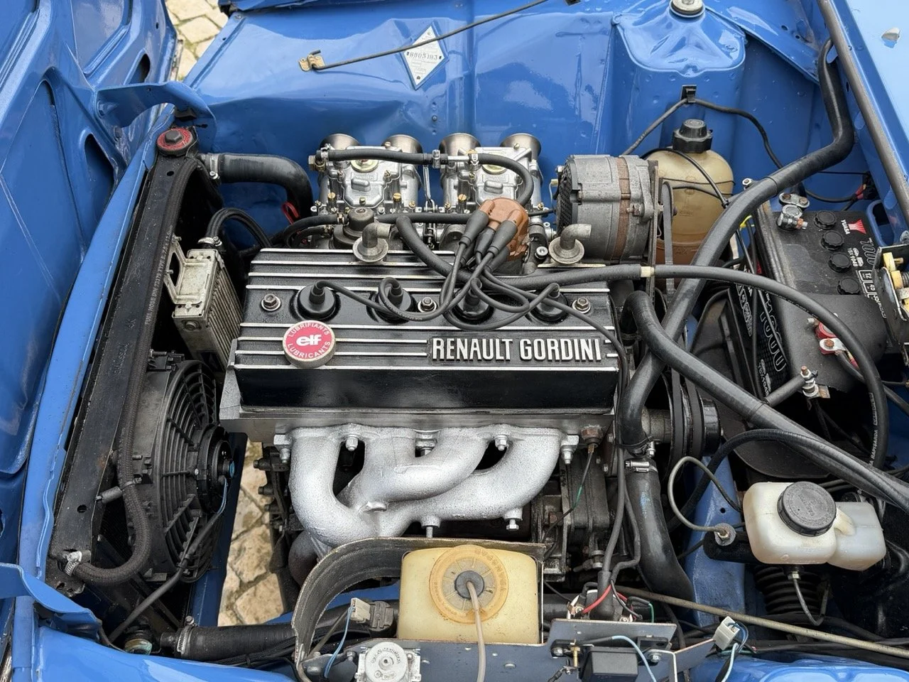 IMG_6011 – grande.jpeg