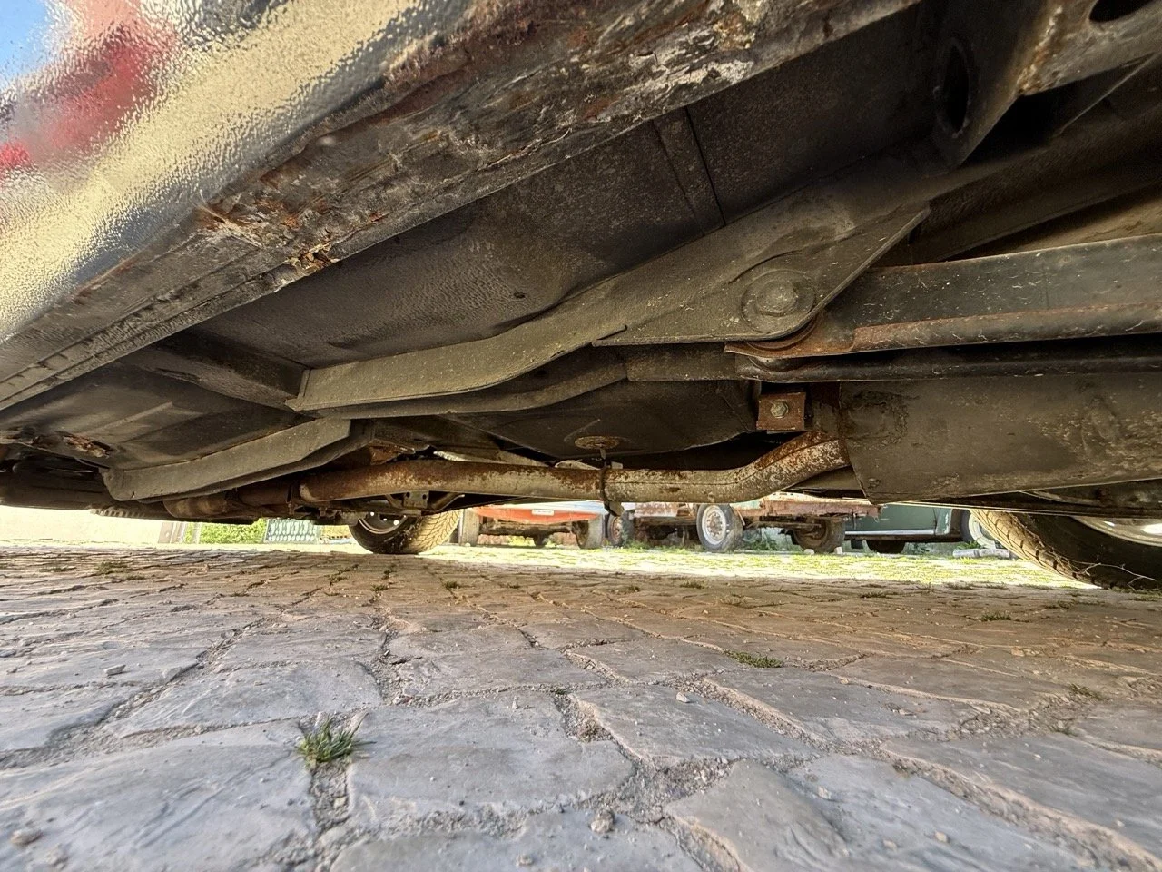 IMG_2241 – grande.jpeg