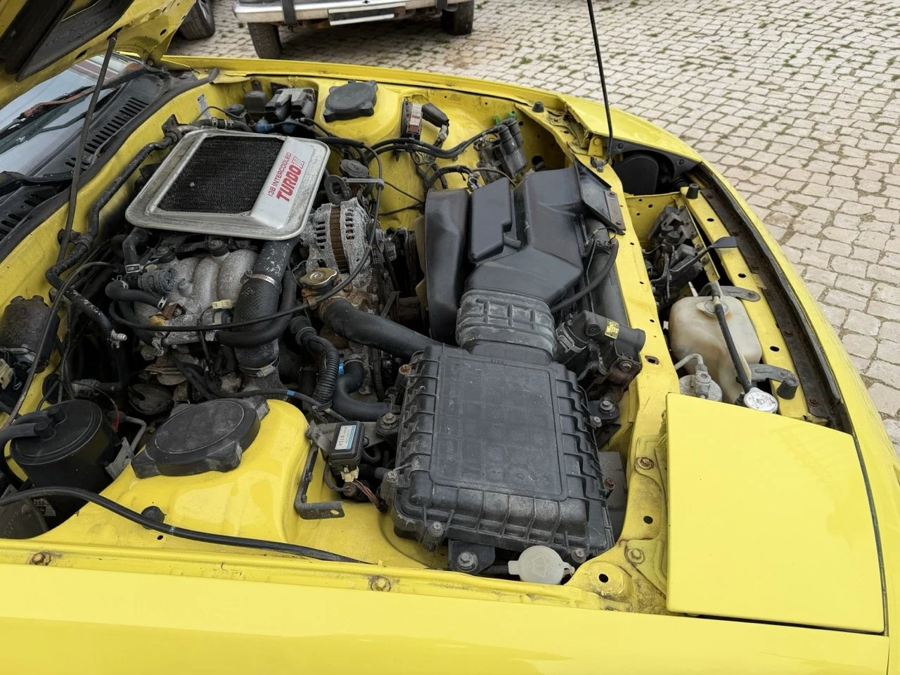 IMG_9764 – grande.jpeg