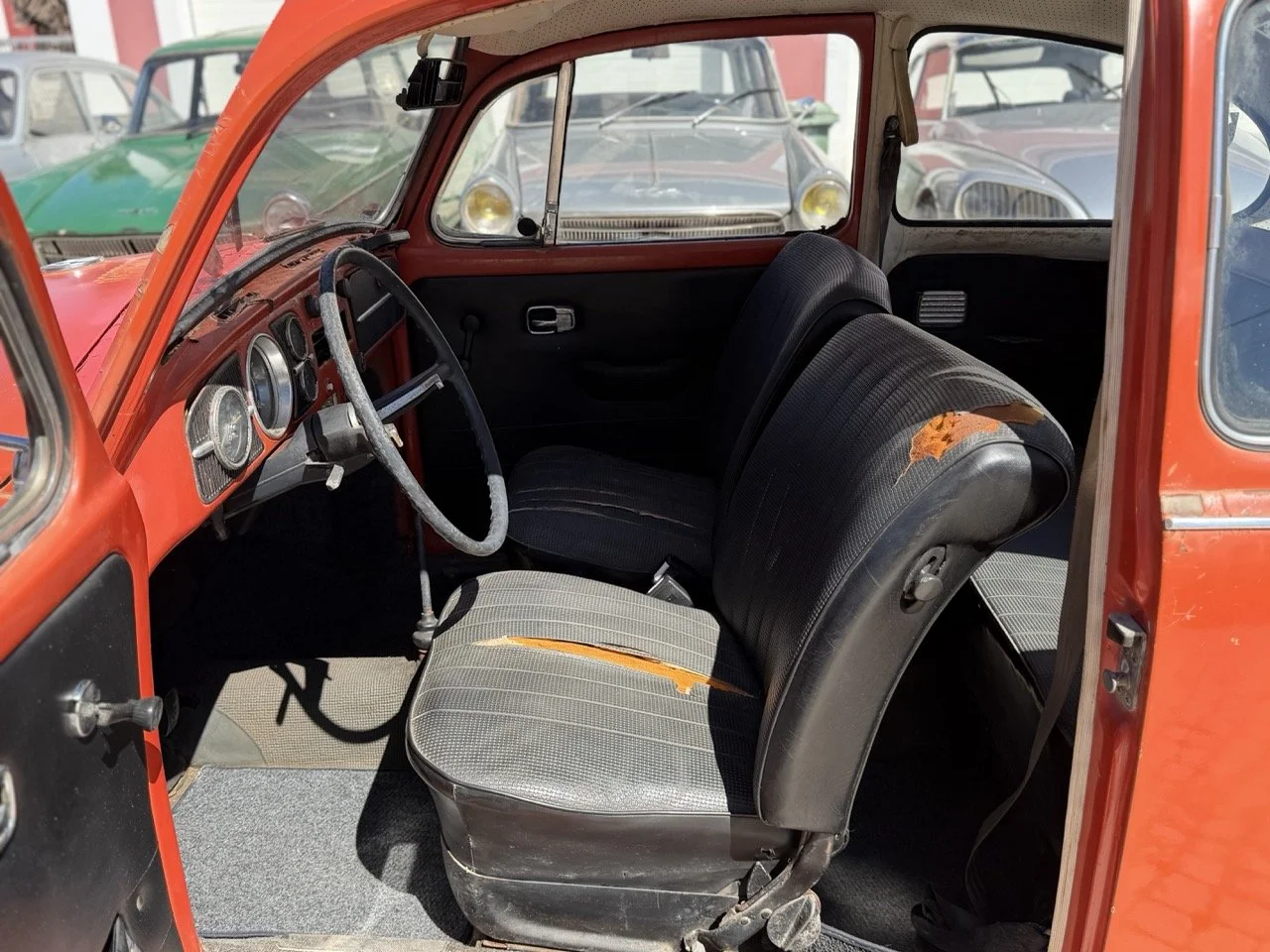 IMG_7520 – grande.jpeg