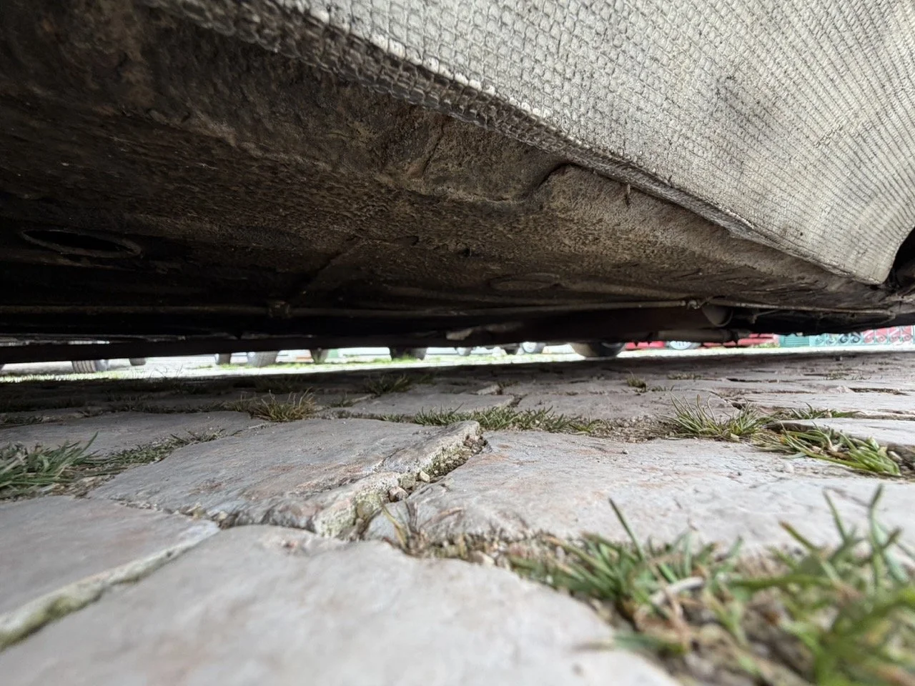 IMG_3786 – grande.jpeg