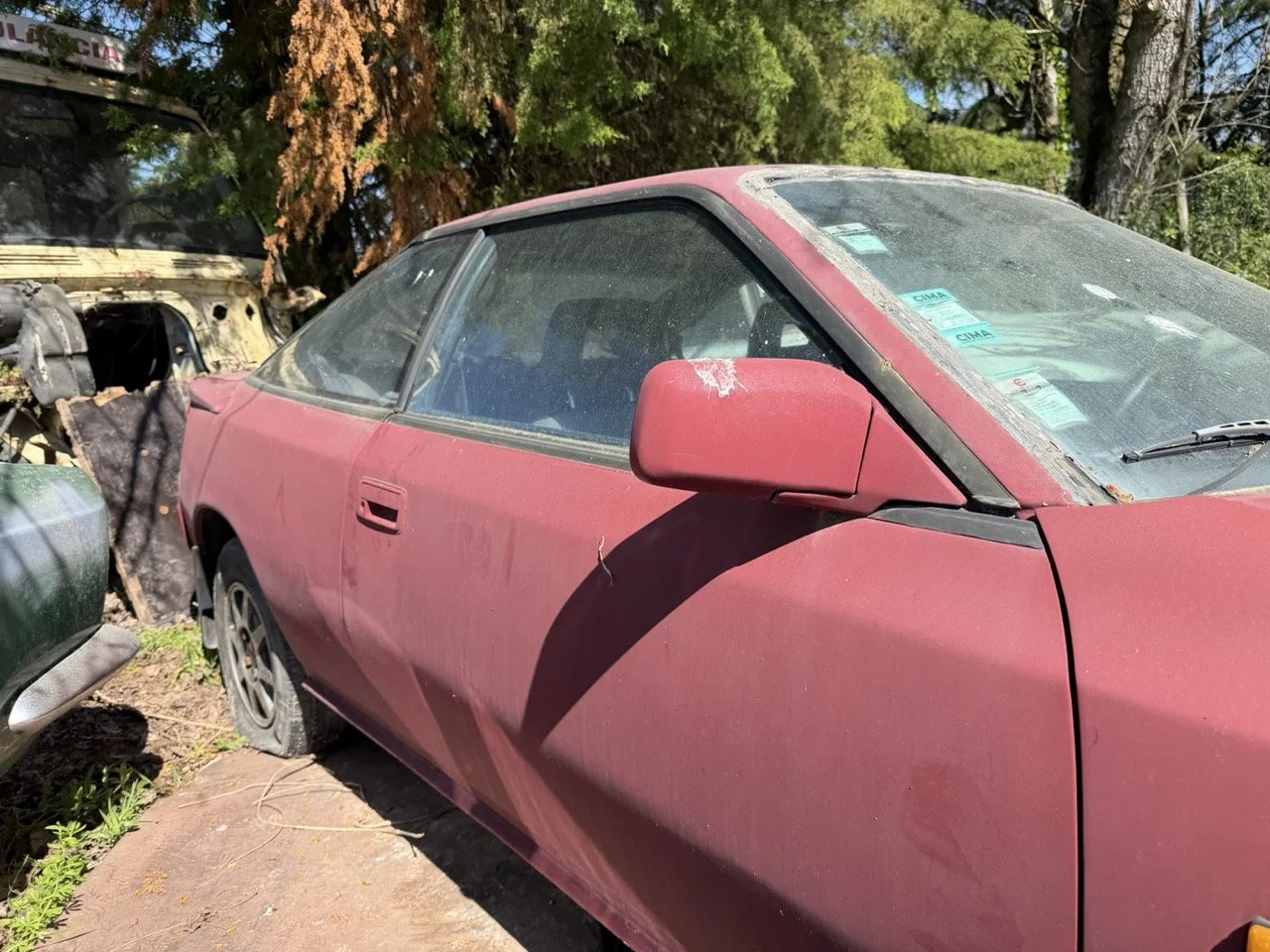 IMG_7631 – grande.jpeg