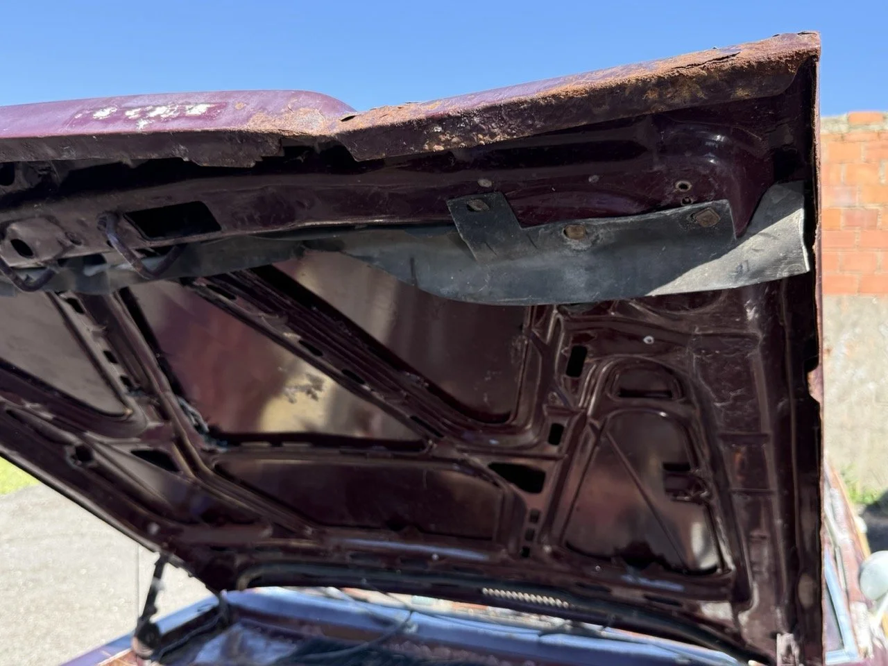 IMG_3042 – grande.jpeg