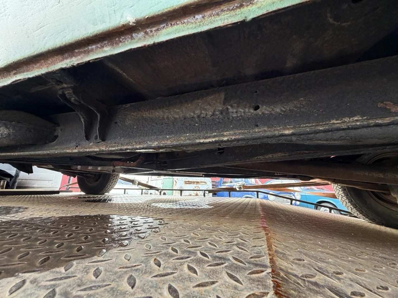 IMG_1772 – grande.jpeg