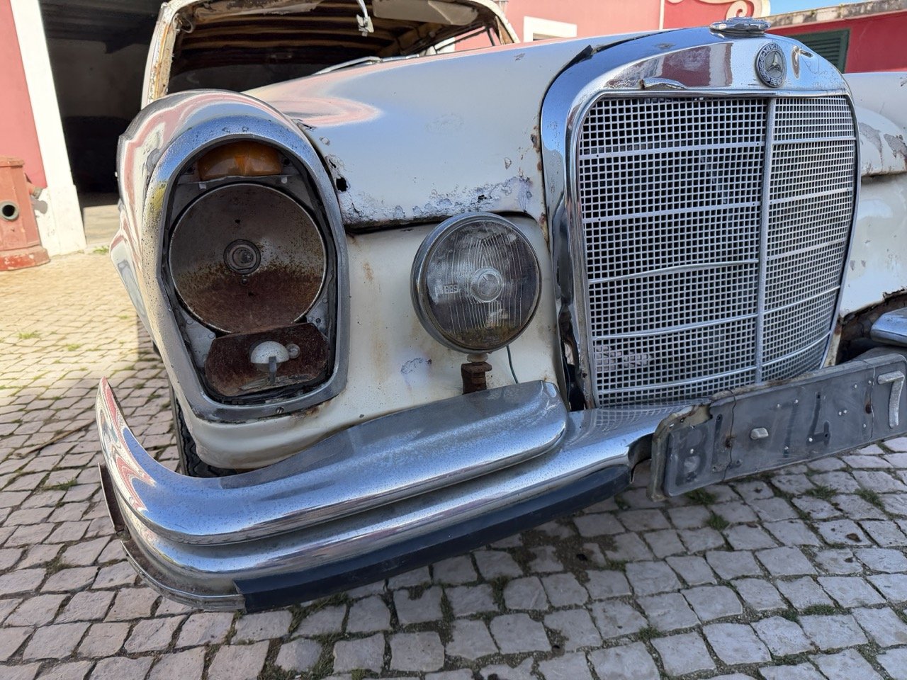 IMG_7066 – grande.jpeg