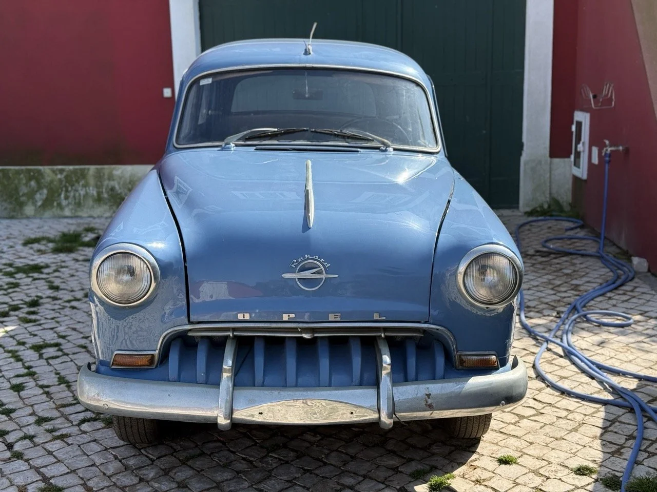 IMG_3498 – grande.jpeg